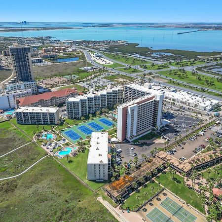 1204 Saida I - Beach Front South Padre Island Exterior foto